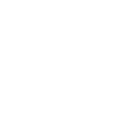 RGS Cars search by bodytype - Saloon